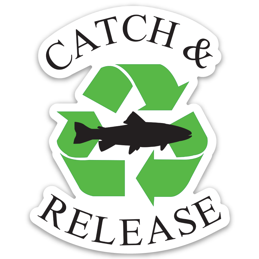 Predator fishing Catch and Release - Catch And Release - Sticker